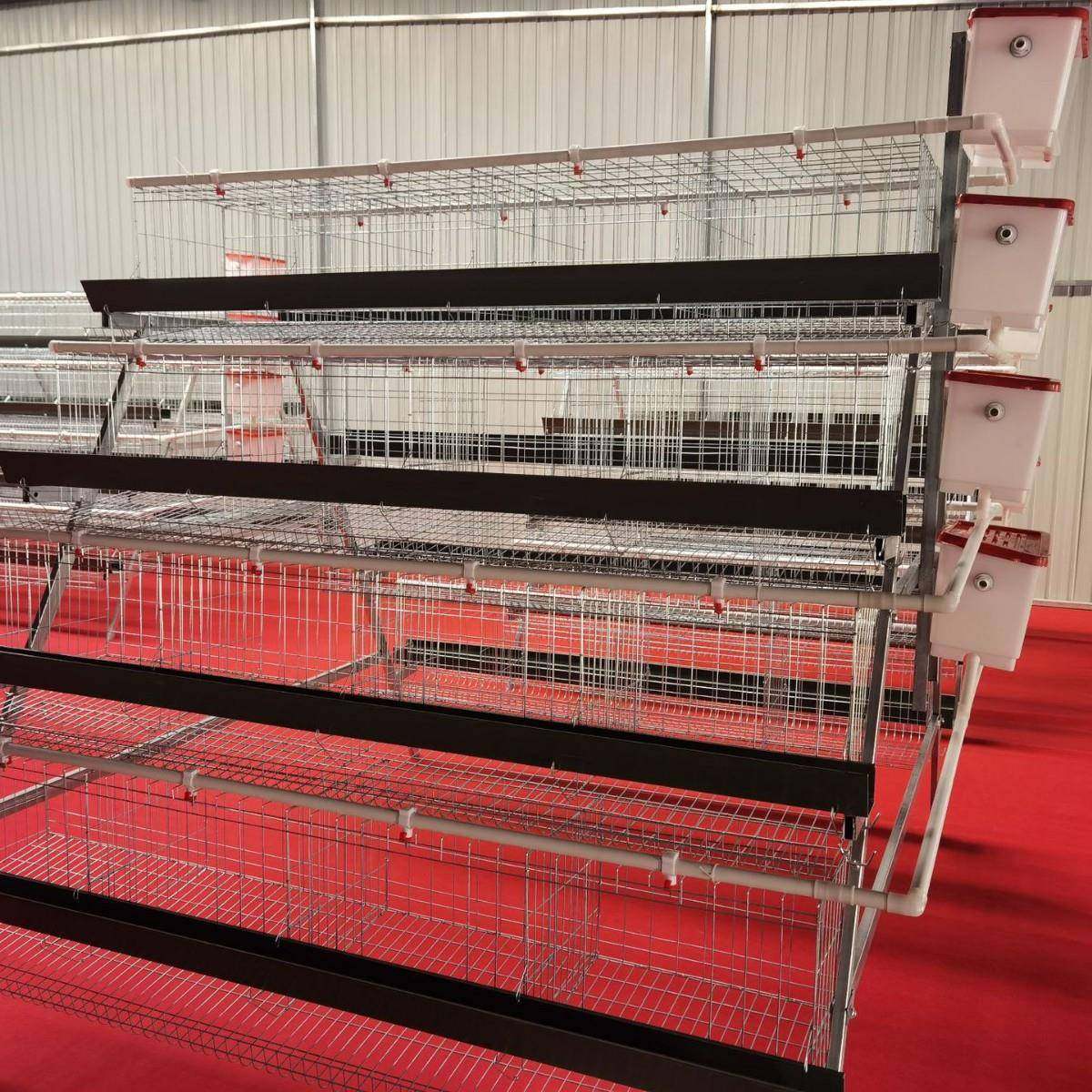 A型阶梯蛋鸡笼四层四门阶梯蛋鸡笼冷镀锌鸡舍家用养殖场源头厂家,淘宝优惠券,粉丝福利购,淘宝优惠卷