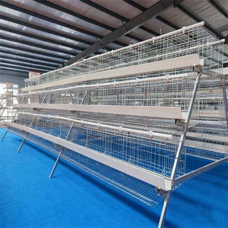 养殖场用三层四门蛋鸡笼设备热镀锌蛋鸡笼阶梯双边蛋鸡笼养殖厂,淘宝优惠券,粉丝福利购,淘宝优惠卷