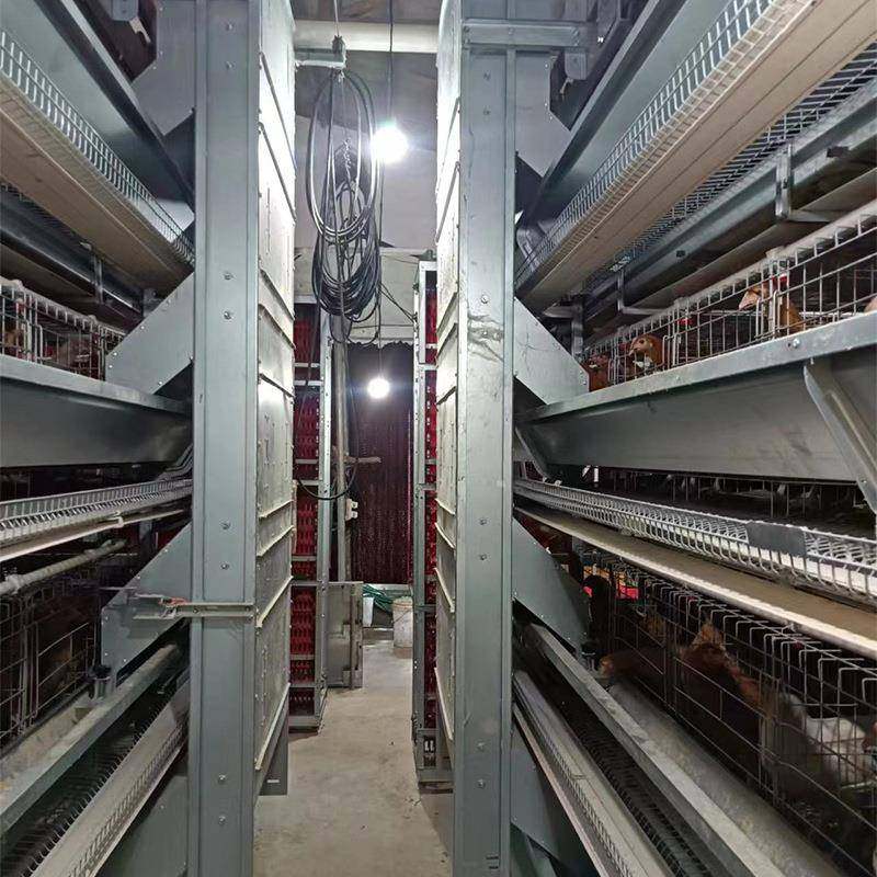 大层叠蛋鸡设备养殖笼养鸡全自动化鸡笼安装热镀锌肉鸡笼推荐,淘宝优惠券,粉丝福利购,淘宝优惠卷