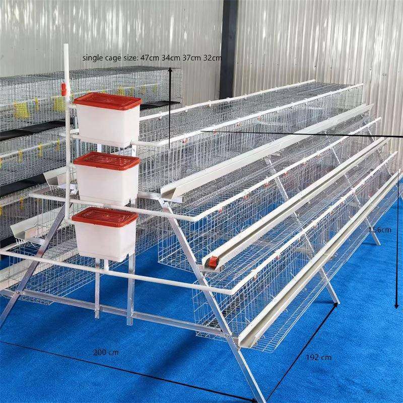 养殖场用三层四门蛋鸡笼设备热镀锌蛋鸡笼阶梯双边蛋鸡笼养殖厂,淘宝优惠券,粉丝福利购,淘宝优惠卷