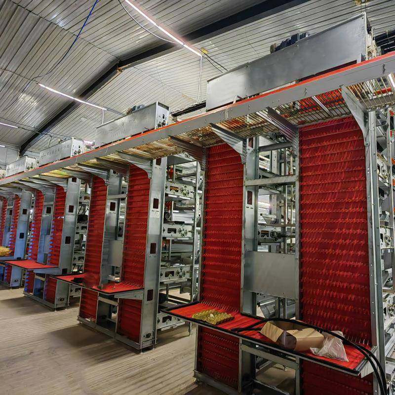 现货全自动化大层叠蛋鸡笼热镀锌养殖设备自动喂料集蛋清粪蛋鸡笼,淘宝优惠券,粉丝福利购,淘宝优惠卷