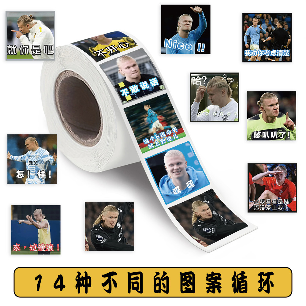 2000 Haaland emoticon stickers handbook