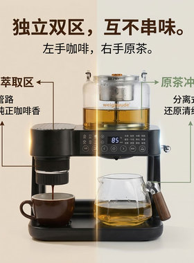 喷淋式煮茶器萃茶家用胶囊咖啡机