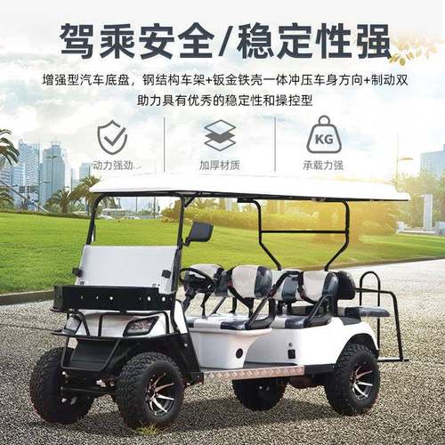 2-4-6座四轮观光车景区摆渡车Golfcart电动高尔夫球车燃油款出口 - 图2
