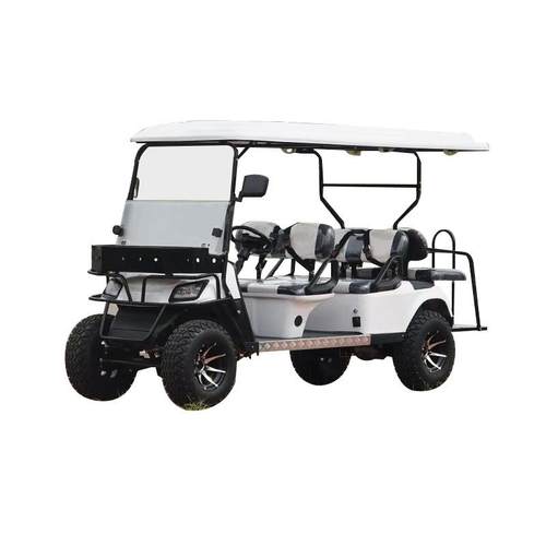 2-4-6座四轮观光车景区摆渡车Golfcart电动高尔夫球车燃油款出口 - 图3