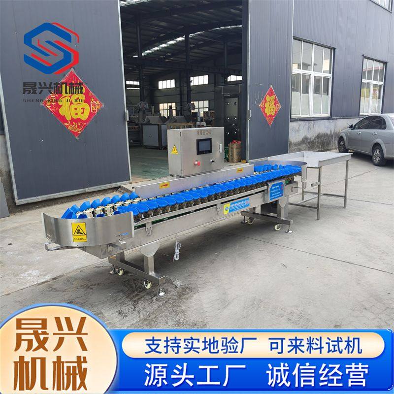 商用全自动料盒式海蛎子重量分选机 生蚝称重分选设备,淘宝优惠券,粉丝福利购,淘宝优惠卷