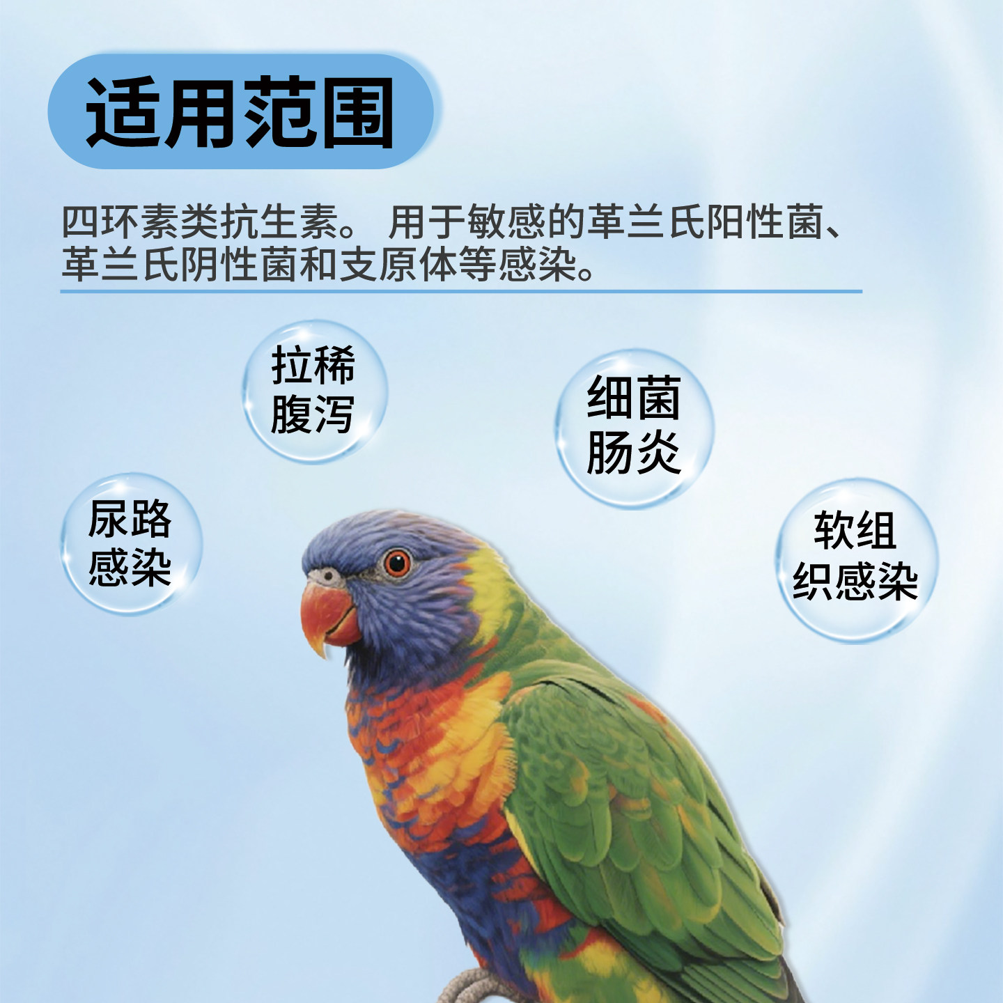 鸟用土霉素粉鹦鹉常备药鸽子呼吸道拉稀腹泻肠炎绿便水便专用药新,淘宝优惠券,粉丝福利购,淘宝优惠卷