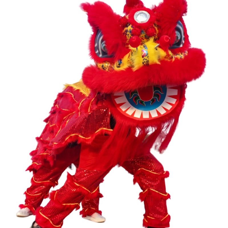 新款成人双人舞龙舞狮道具羊毛南狮醒狮舞狮子服装狮子头表演整套 - 图2