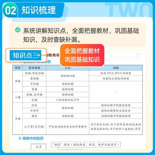 满分星 秒解物化生高中2026 高考妙解物理化学生物知识点汇总 干货知识数理化一本全 必备通用版 高一教辅公式大全总结 秒懂一本通 - 图2