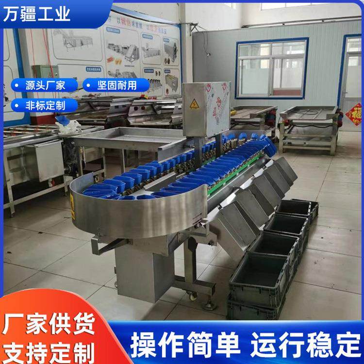 袋装鹅肝肉块称重分拣机多级别猪蹄鸡爪挑选机海蛎子海参分选机,淘宝优惠券,粉丝福利购,淘宝优惠卷