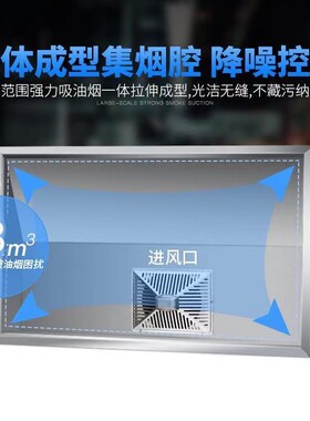 油烟净化器一体机商用饭店食堂厨房抽油烟机餐饮低空排放环保烟罩