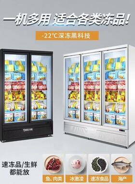 冷冻展示柜商用速冻柜急冻肉类榴莲三门立式冰箱双门展示低温冰柜