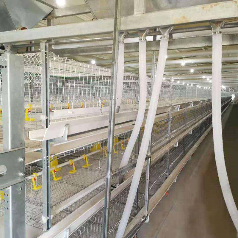 养殖框架笼厂家镀锌材质三层肉鸡笼全自动化肉鸡养殖设备厂家定制,淘宝优惠券,粉丝福利购,淘宝优惠卷