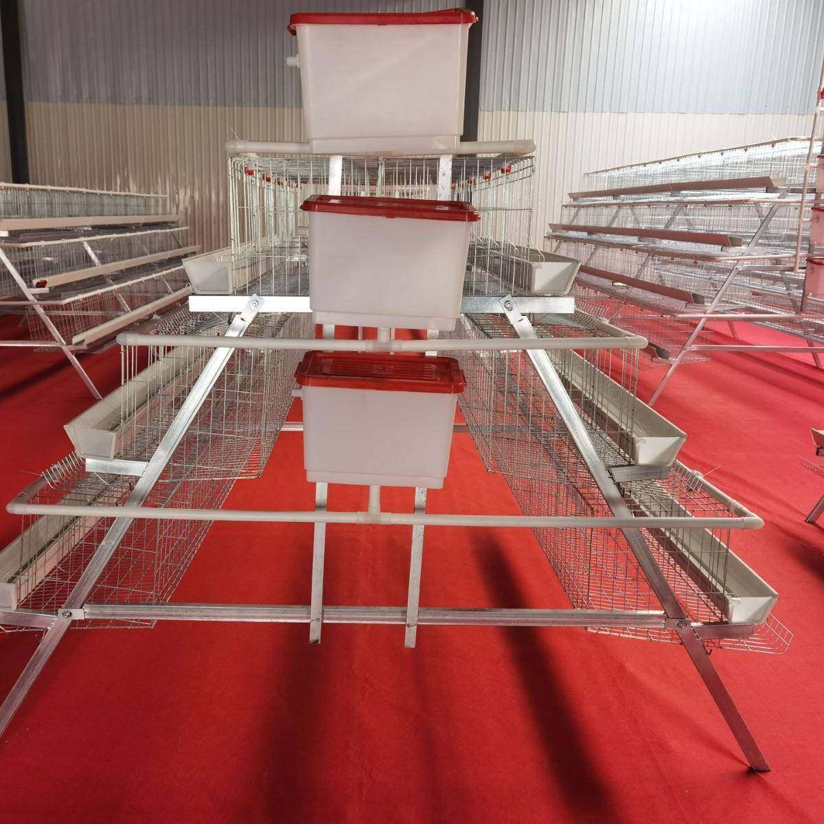 A型阶梯蛋鸡笼三层五门阶梯蛋鸡笼冷镀锌鸡舍家用养殖场源头厂家,淘宝优惠券,粉丝福利购,淘宝优惠卷