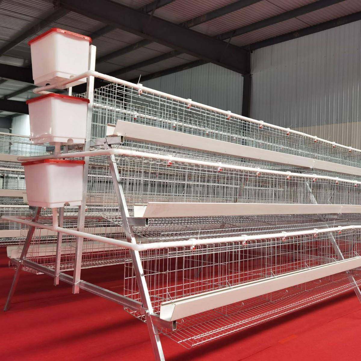 A型阶梯蛋鸡笼三层五门阶梯蛋鸡笼冷镀锌鸡舍家用养殖场源头厂家,淘宝优惠券,粉丝福利购,淘宝优惠卷