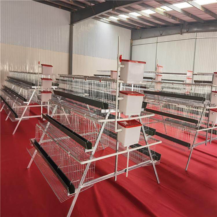 阶梯式蛋鸡笼三层四层阶梯式蛋鸡笼家禽养殖设备冷镀锌蛋鸡笼,淘宝优惠券,粉丝福利购,淘宝优惠卷