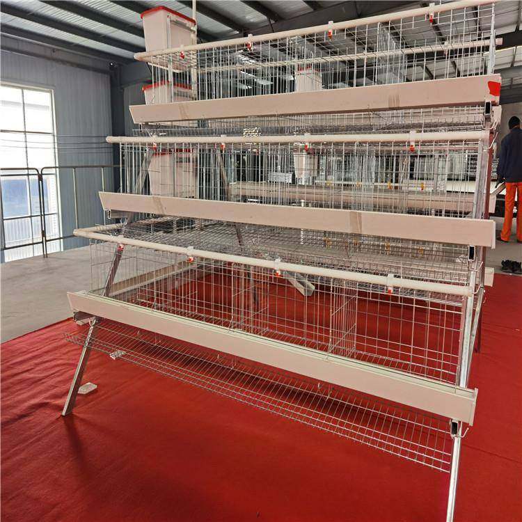 阶梯式蛋鸡笼三层四层阶梯式蛋鸡笼家禽养殖设备冷镀锌蛋鸡笼,淘宝优惠券,粉丝福利购,淘宝优惠卷