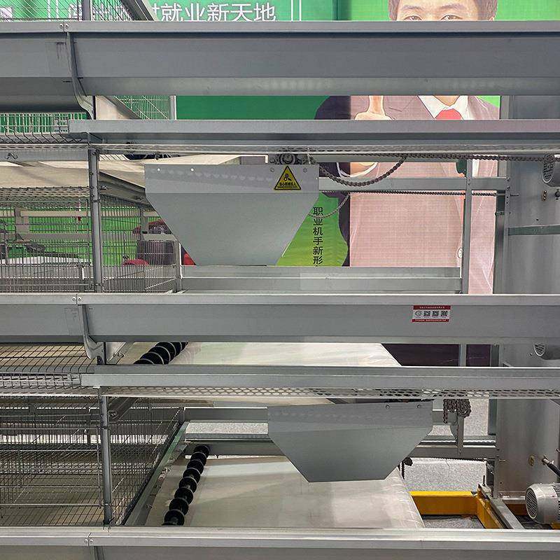 养鸡场自动捡蛋机养殖笼养鸡设备立式自动化三层蛋鸡笼多层鸡笼,淘宝优惠券,粉丝福利购,淘宝优惠卷