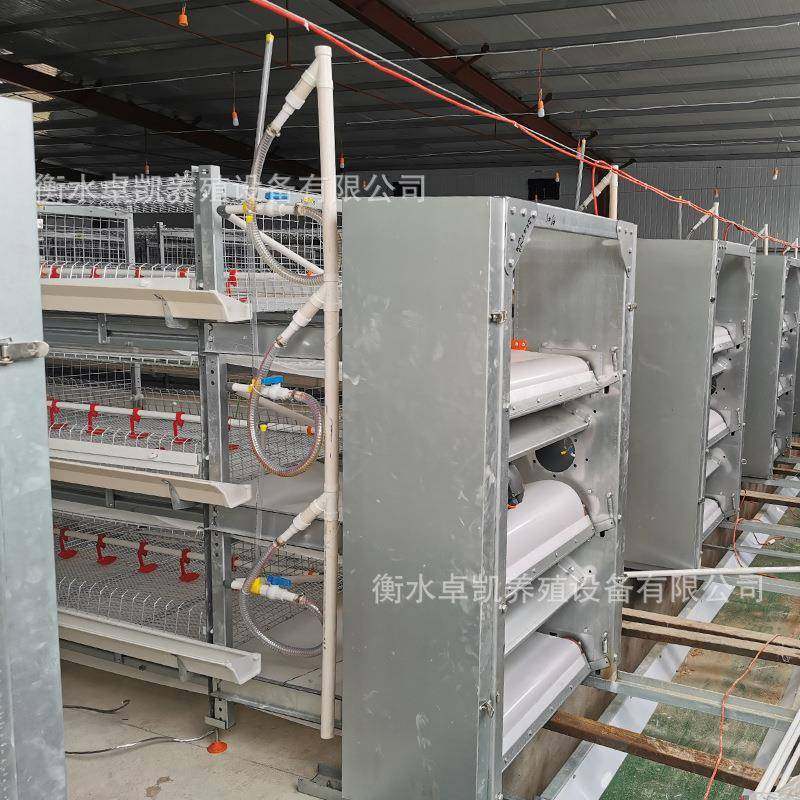 后热镀锌半自动立体框架肉鸡笼前吃后抓弹簧门加固加粗易清理,淘宝优惠券,粉丝福利购,淘宝优惠卷