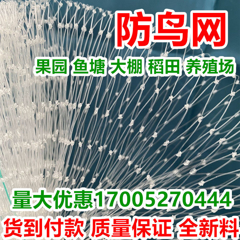 尼龙防鸟网大棚果树樱桃葡萄梨树蓝莓果园防鸟用网养殖场鱼塘天网,淘宝优惠券,粉丝福利购,淘宝优惠卷