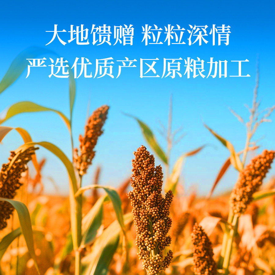 YY五谷杂粮粗粮组合粥伴手礼员工福利团购送礼300g*6袋 YY五谷杂粮粗粮组合粥伴手礼员工福利团购送礼300g*6袋