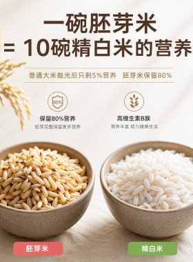 松下小型家用碾米机脱壳打胚芽