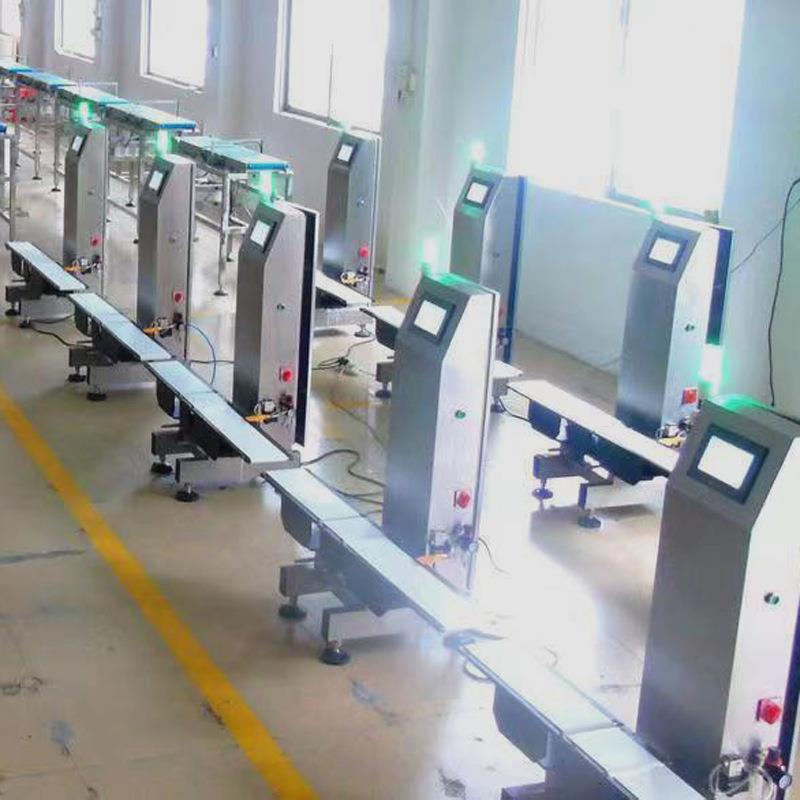 自动称重机灌装线后端称重设备包装线皮带检重剔除机 - 图0