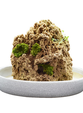 上水石原石天f然吸水石盆景摆件麦管石假山原石奇石造景水秀石包