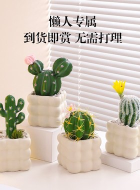 海贝海仙a人掌盆栽多肉植物仙人球盆栽室内假花办公室桌面装饰摆