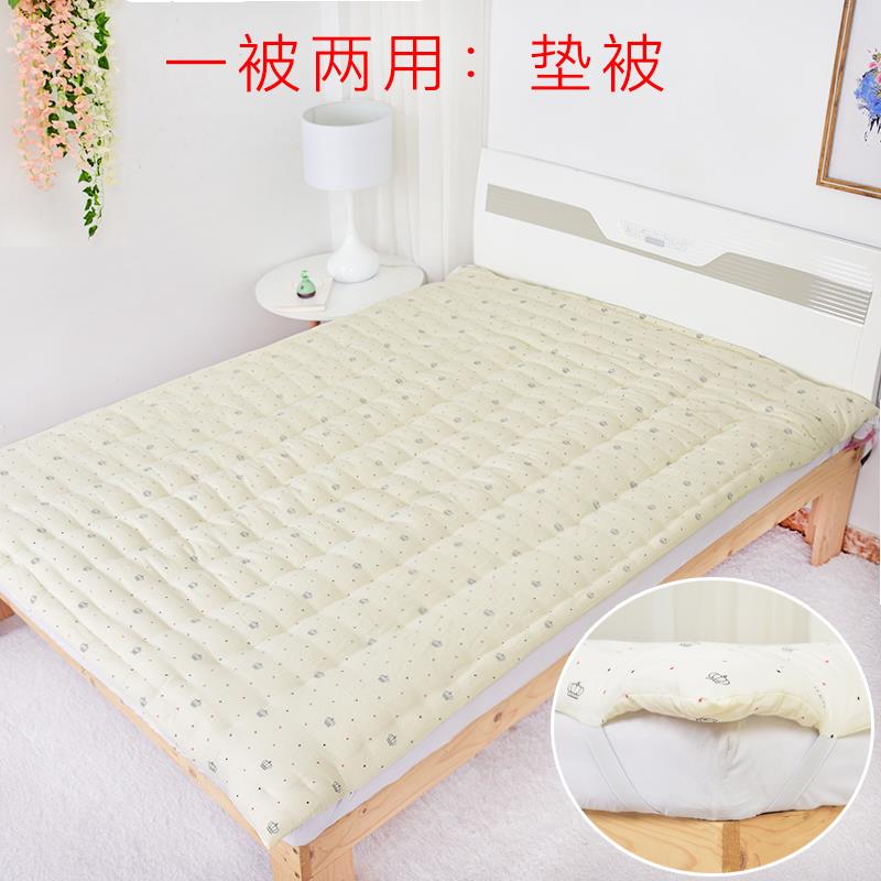 定做棉花被子纯手工棉被山东被褥春秋被单人双人棉胎床垫被芯冬被 - 图1