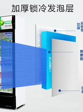 饮料展示柜冷藏冰柜保鲜双开门冷饮三门商用门啤酒冰箱商用级