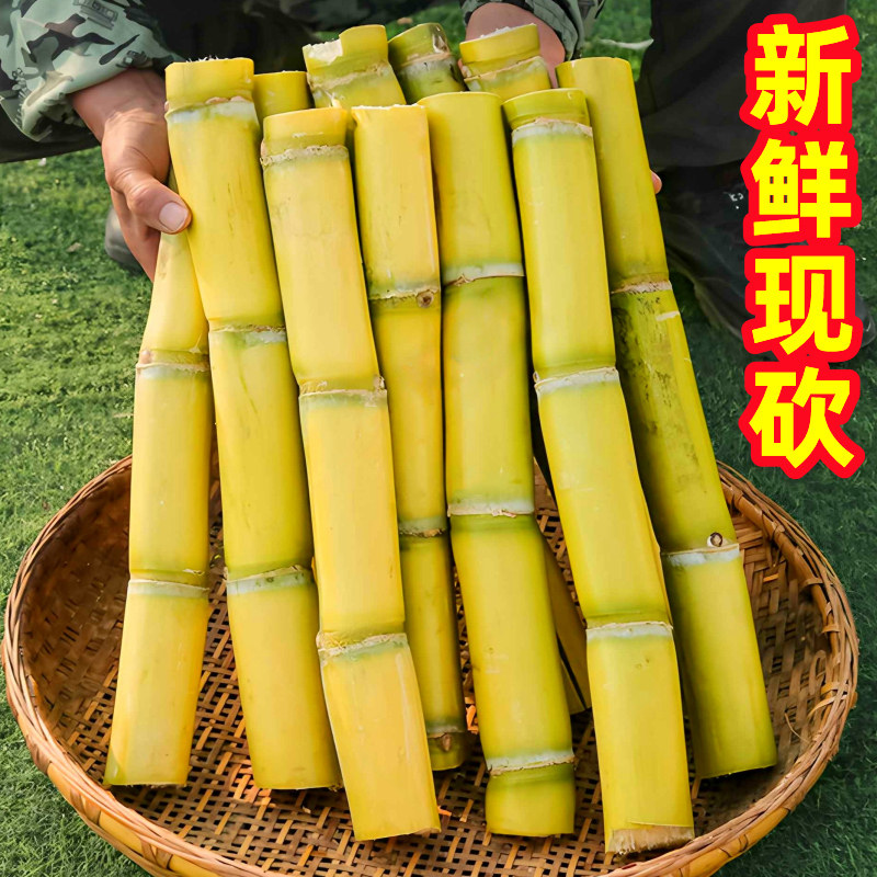广西黄金甘蔗10斤新鲜应当季孕妇水果脆甜黑黄皮甘蔗特产整箱包邮,淘宝优惠券,粉丝福利购,淘宝优惠卷