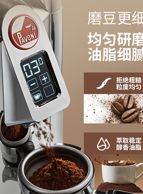 LaPavoniGGR意大利进口磨豆机