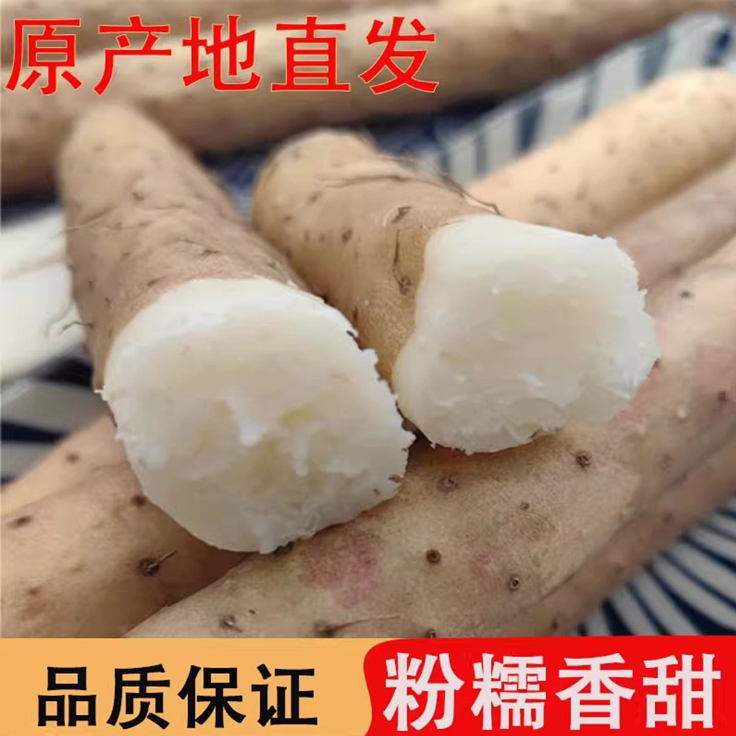 新鲜正宗小白嘴山药保证口感粉糯比河南卢土铁棍淮山好吃