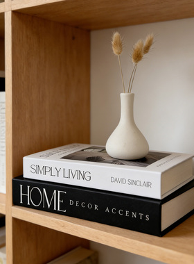 磁吸可打开装饰书摆件