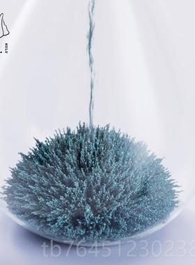 高档鹿鲸级鱼磁力沙创意摆件漏高马小众礼物解压办公室桌面工位好