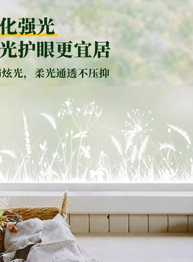 森系白色剪影花草磨砂玻璃贴膜