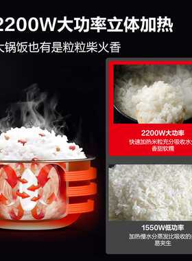 德玛仕DEMASHI商用电饭煲大容量智能预约蒸饭电饭锅压力锅东南亚