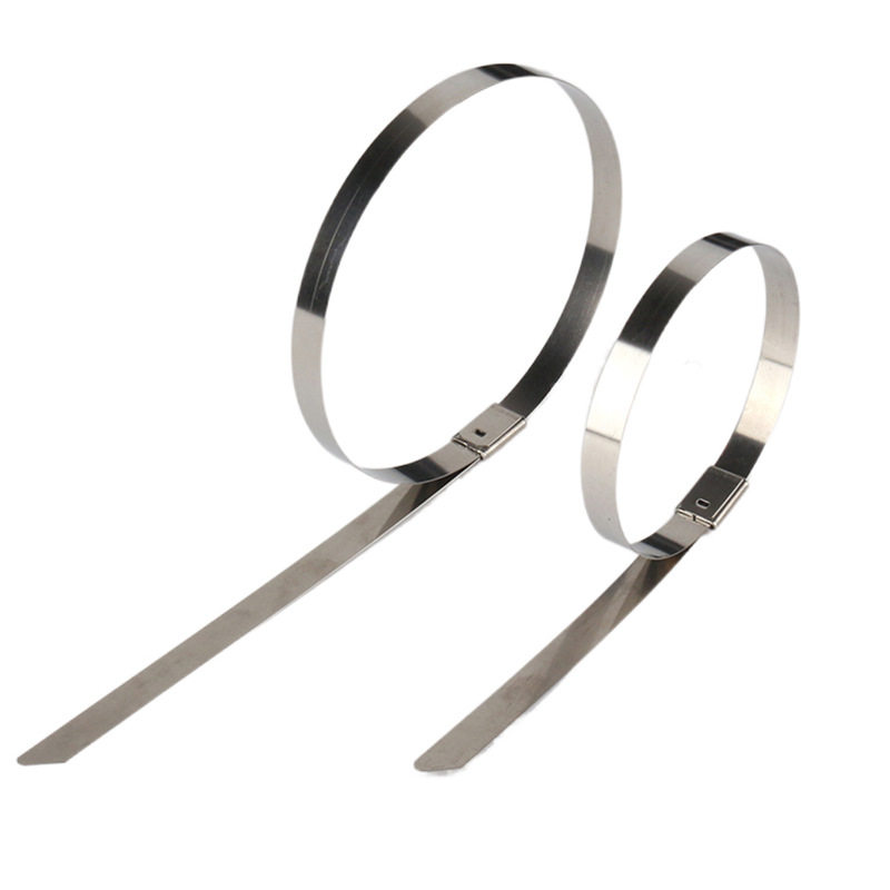 304不锈钢扎带12x300自锁式船用金属捆扎带自锁行李捆绑束线,淘宝优惠券,粉丝福利购,淘宝优惠卷