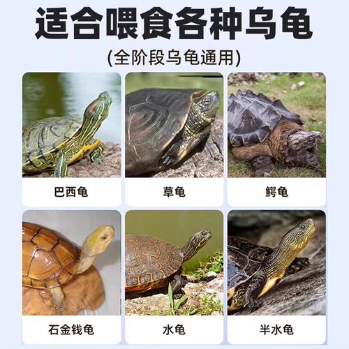 龟粮乌龟粮食淡水小鱼干虾干巴西龟磷虾通用观赏龟冬眠食宠物零食 - 图0