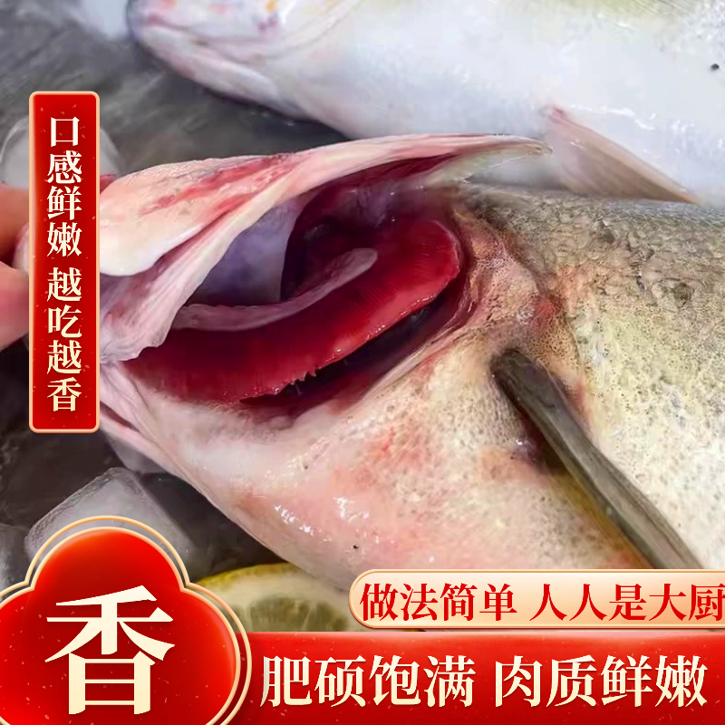 海鲈鱼新鲜超大特大花鲈鱼鲜活冷冻卢鱼七星鲈鱼海鲜水产深海鱼,淘宝优惠券,粉丝福利购,淘宝优惠卷