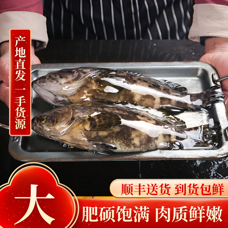 石斑鱼超大鲜活速冻深海鱼龙胆老虎斑龙趸珍珠斑海鲜水产石头斑,淘宝优惠券,粉丝福利购,淘宝优惠卷