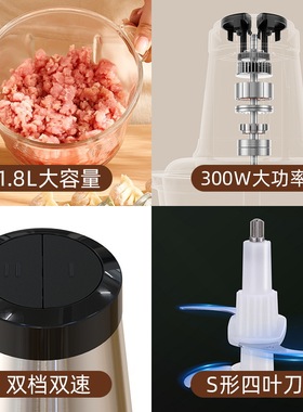 绞肉机家用第一名志高2L-4L小型料理机电动多功能不锈钢绞蒜蓉蒜