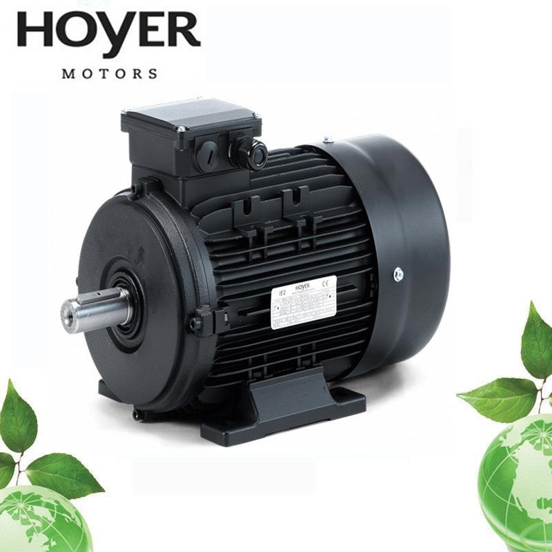 丹麦Motori霍尔三相异步电动机铝壳铸铁IE1IE2IE3IE4 - 图0