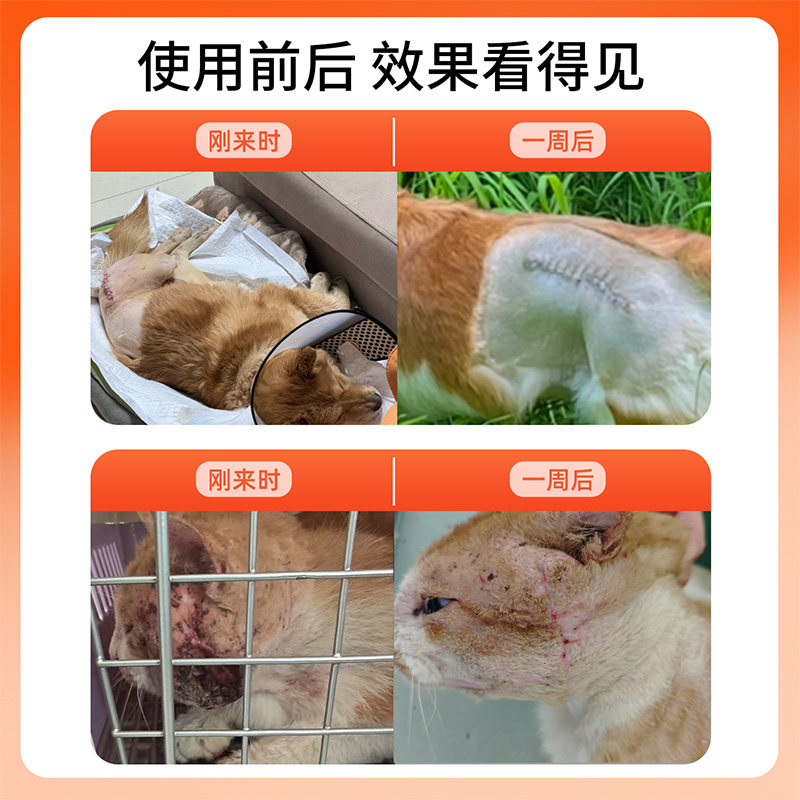 莽兜兜宠物外伤伤口愈合喷剂狗狗咬抓伤犬猫咪绝育术后愈合喷雾,淘宝优惠券,粉丝福利购,淘宝优惠卷