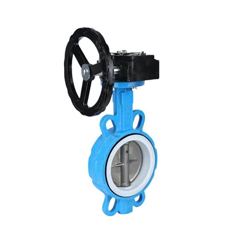 厂家供应蜗轮传动对夹衬氟蝶阀D371F46碳钢手动全衬四氟蝶阀门 - 图3