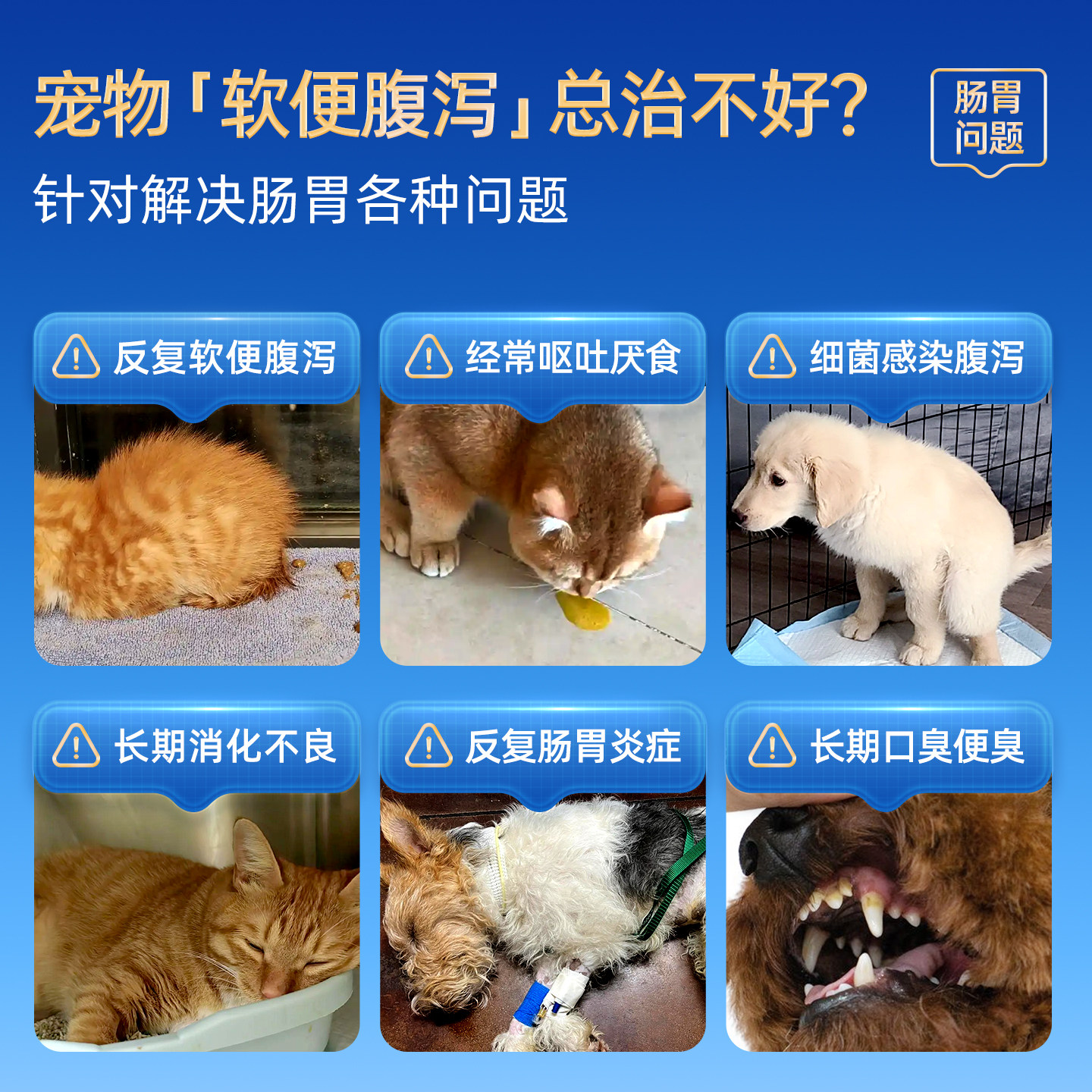 DLOVE【诺奖得主研发】猫益生菌布拉迪宠物狗调理肠胃元软便腹泻,淘宝优惠券,粉丝福利购,淘宝优惠卷