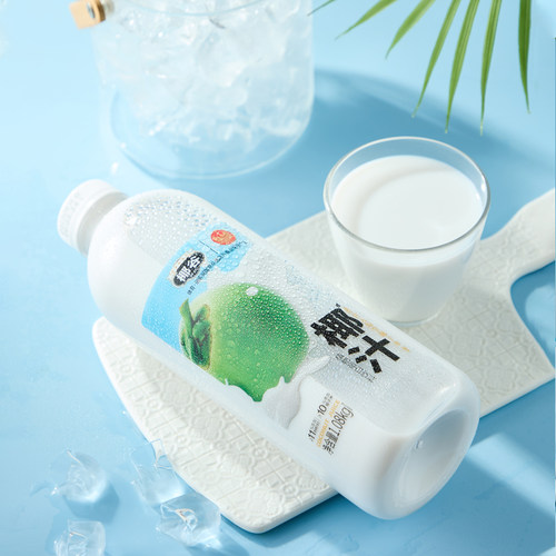 白小楠丨椰谷鲜椰汁新鲜椰肉生榨椰子汁大瓶椰奶果汁植物蛋白饮料 - 图2