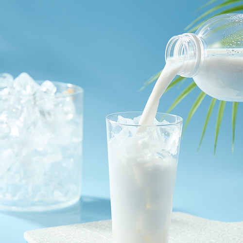 白小楠丨椰谷鲜椰汁新鲜椰肉生榨椰子汁大瓶椰奶果汁植物蛋白饮料 - 图3