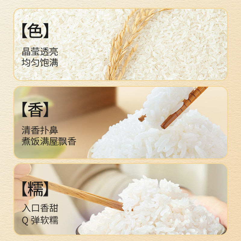 25年新米十月稻田稻香米5kg黑龙江优质产区东北大米软糯回甘真空 25年新米十月稻田稻香米5kg黑龙江优质产区东北大米软糯回甘真空